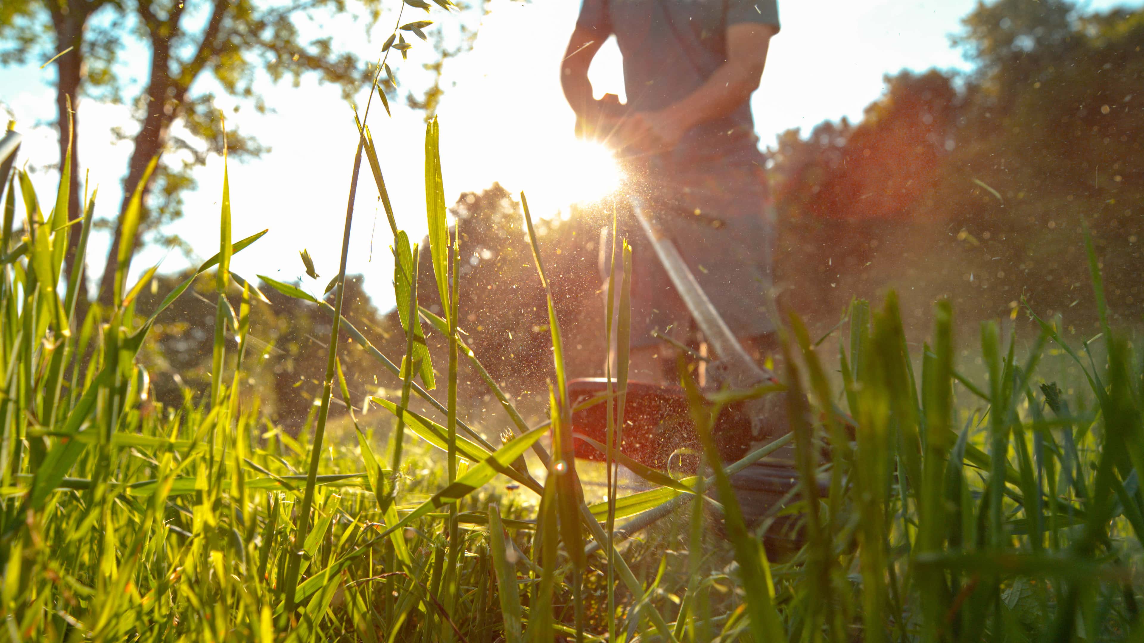 Hero image for Frank's Outdoor Services